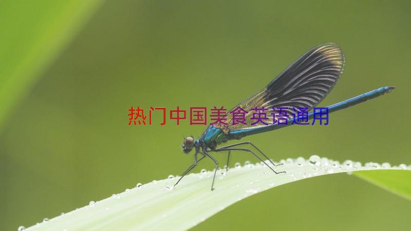 热门中国美食英语（通用12篇）