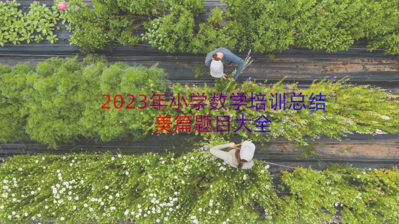 2023年小学数学培训总结美篇题目大全（13篇）