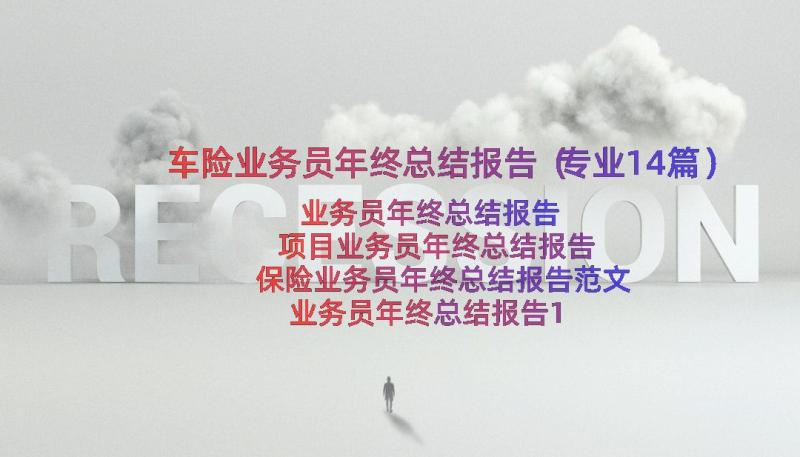 车险业务员年终总结报告（专业14篇）