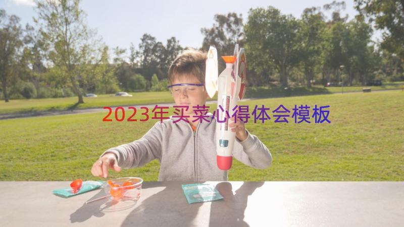 2023年买菜心得体会（模板17篇）