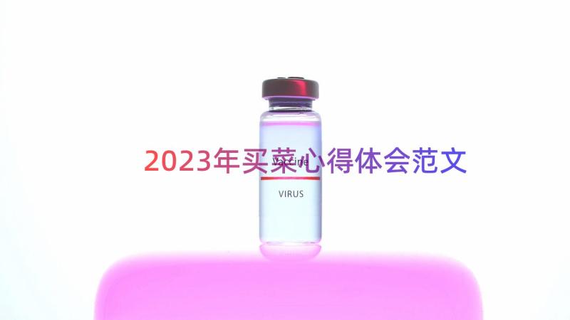 2023年买菜心得体会范文（13篇）