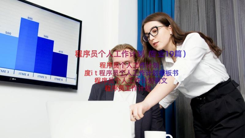 程序员个人工作计划（专业19篇）