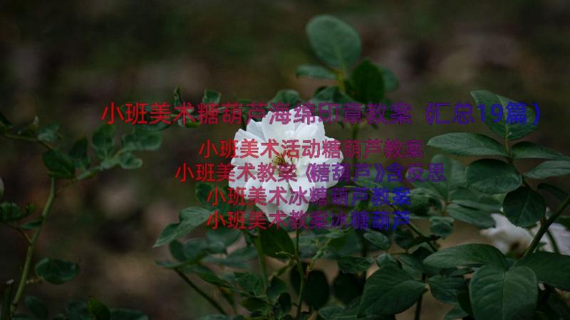 小班美术糖葫芦海绵印章教案（汇总19篇）