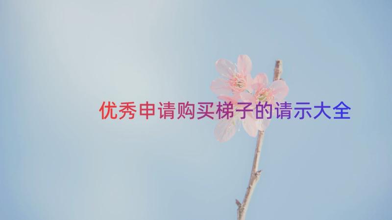 优秀申请购买梯子的请示大全（16篇）