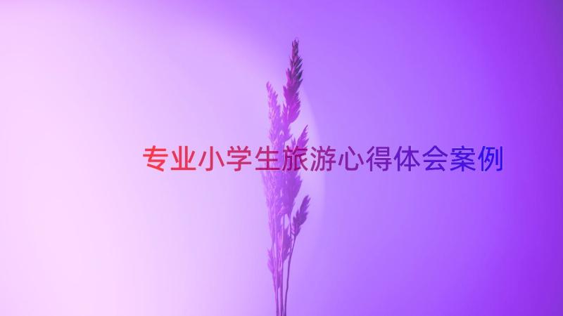 专业小学生旅游心得体会（案例16篇）