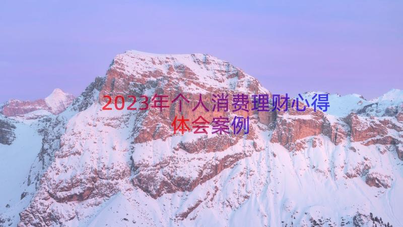 2023年个人消费理财心得体会（案例16篇）