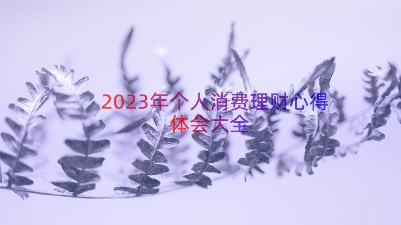 2023年个人消费理财心得体会大全（12篇）