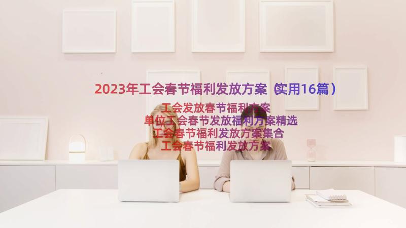 2023年工会春节福利发放方案（实用16篇）