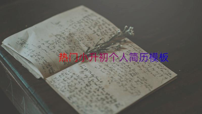 热门小升初个人简历（模板16篇）