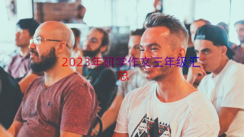 2023年研学作文三年级（汇总16篇）