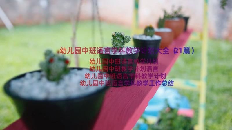 幼儿园中班语言学科教学计划大全（21篇）