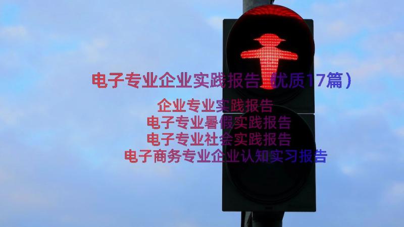 电子专业企业实践报告（优质17篇）