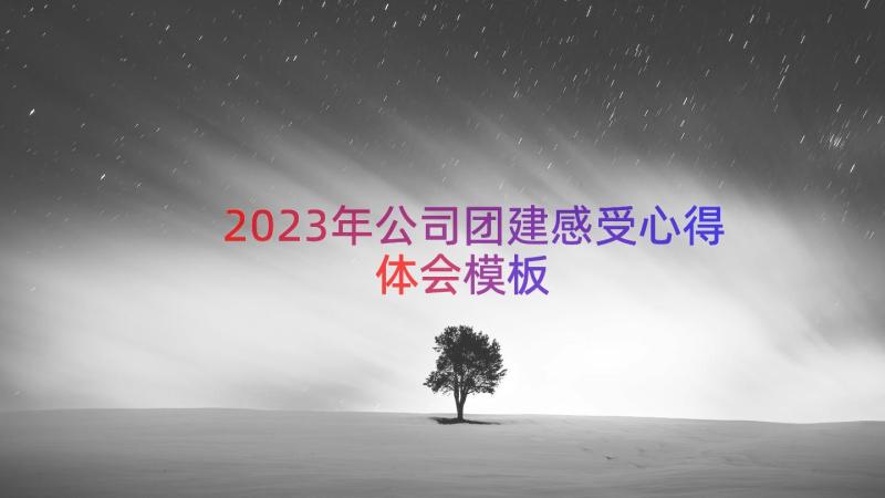 2023年公司团建感受心得体会（模板19篇）