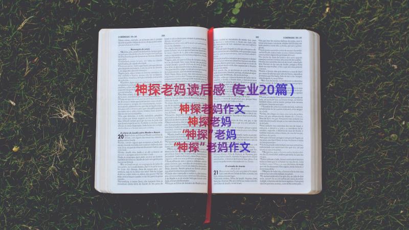 神探老妈读后感（专业20篇）