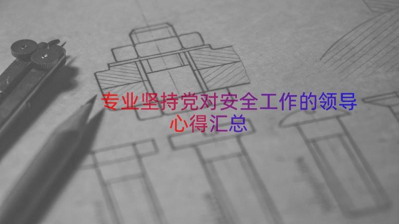 专业坚持党对安全工作的领导心得（汇总15篇）