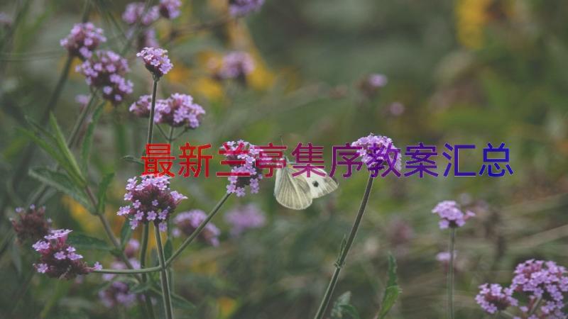 最新兰亭集序教案（汇总16篇）