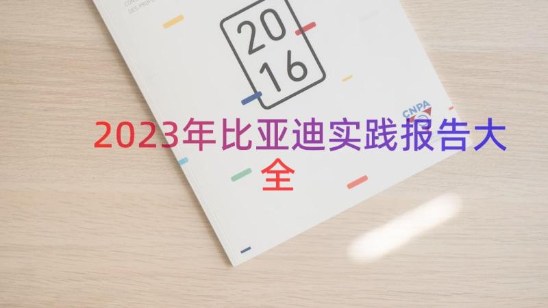 2023年比亚迪实践报告大全（16篇）