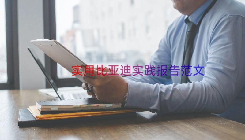 实用比亚迪实践报告范文（19篇）