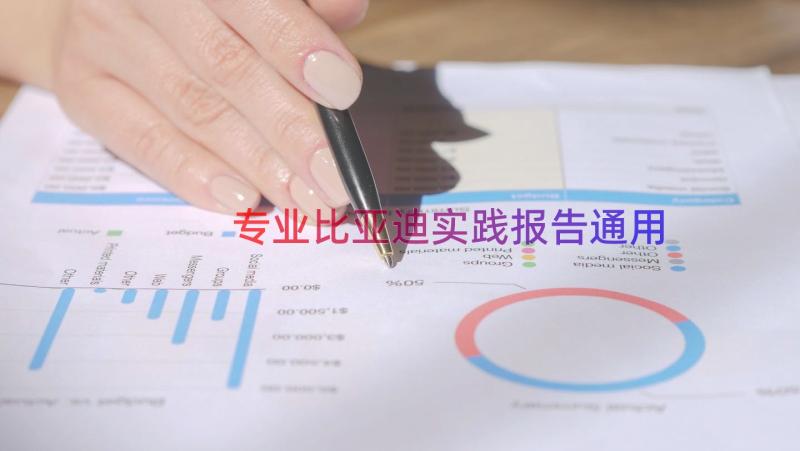 专业比亚迪实践报告（通用15篇）