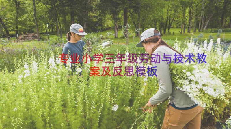 专业小学三年级劳动与技术教案及反思（模板17篇）