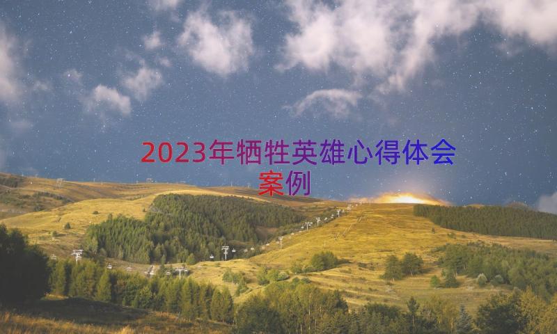 2023年牺牲英雄心得体会（案例17篇）