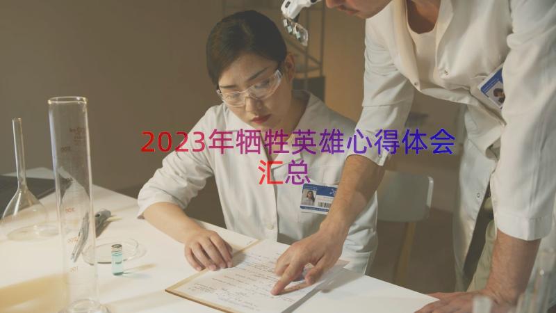 2023年牺牲英雄心得体会（汇总15篇）