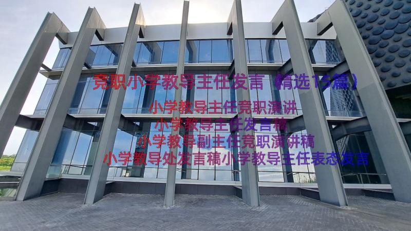 竞职小学教导主任发言（精选15篇）