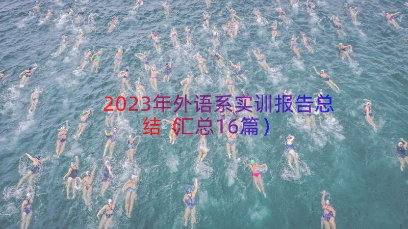 2023年外语系实训报告总结（汇总16篇）