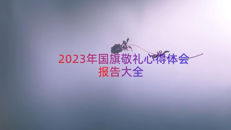 2023年国旗敬礼心得体会报告大全（20篇）