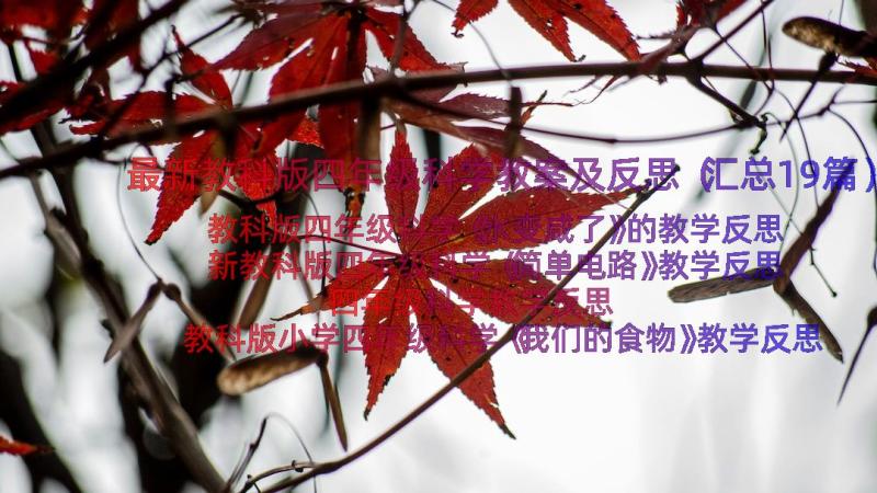 最新教科版四年级科学教案及反思（汇总19篇）