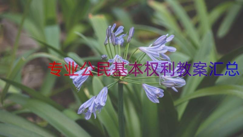 专业公民基本权利教案（汇总12篇）