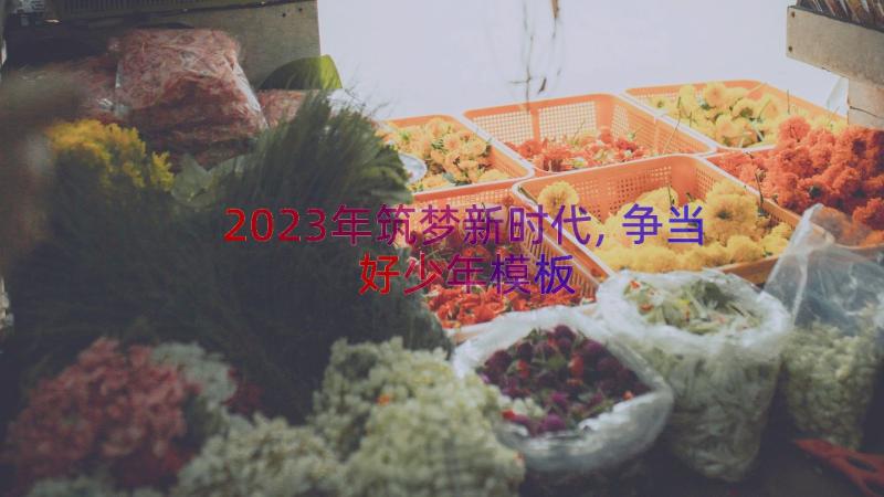 2023年筑梦新时代,争当好少年（模板17篇）