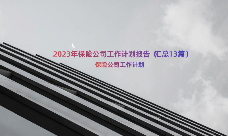 2023年保险公司工作计划报告（汇总13篇）