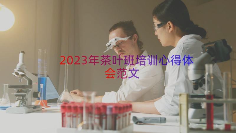 2023年茶叶班培训心得体会范文（14篇）