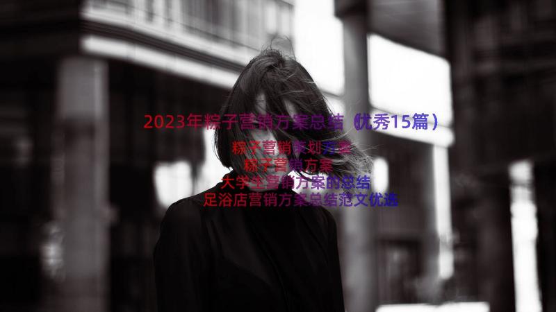 2023年粽子营销方案总结（优秀15篇）