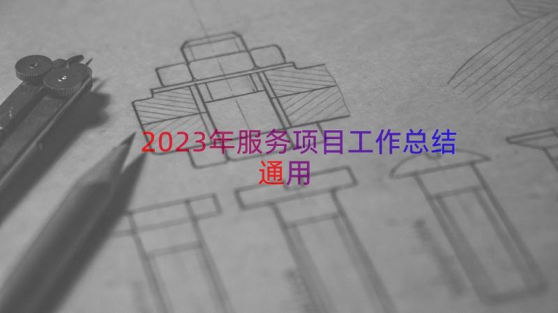 2023年服务项目工作总结（通用17篇）