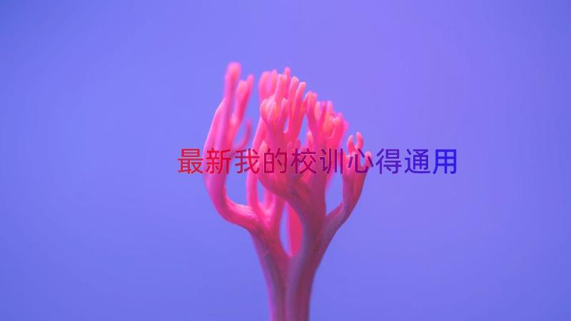 最新我的校训心得（通用17篇）