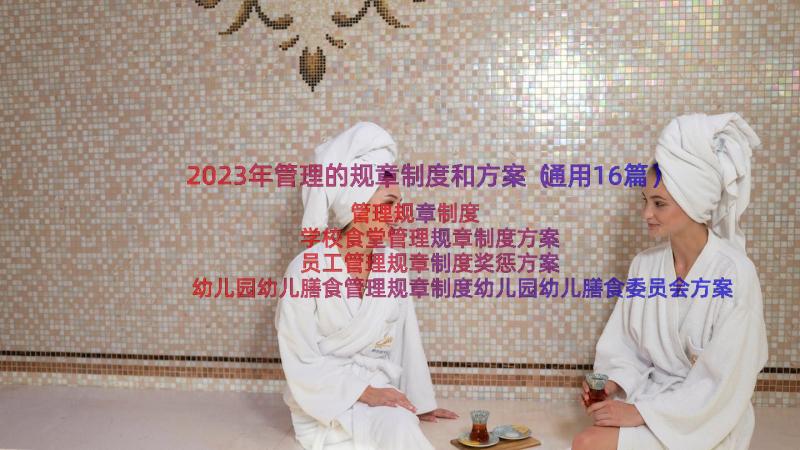 2023年管理的规章制度和方案（通用16篇）