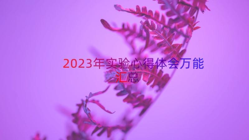 2023年实验心得体会万能（汇总20篇）