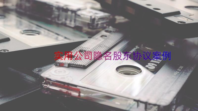 实用公司隐名股东协议（案例15篇）