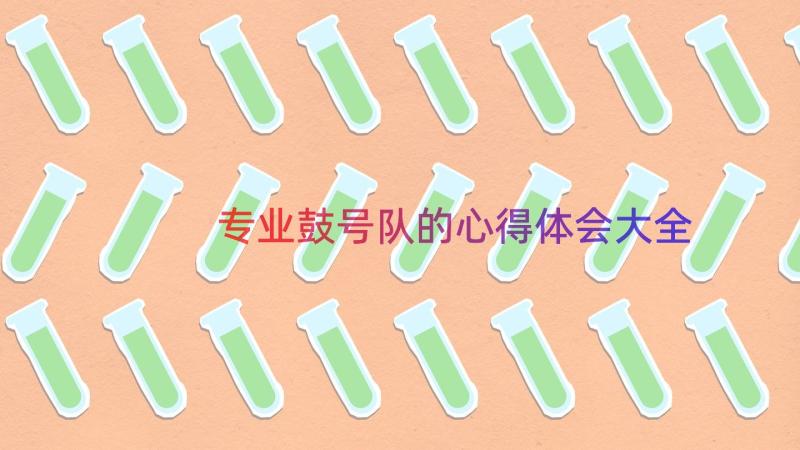 专业鼓号队的心得体会大全（14篇）