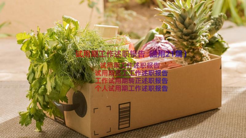 试用期工作述职报告（通用21篇）