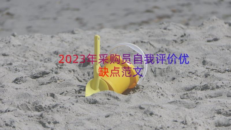 2023年采购员自我评价优缺点范文（18篇）