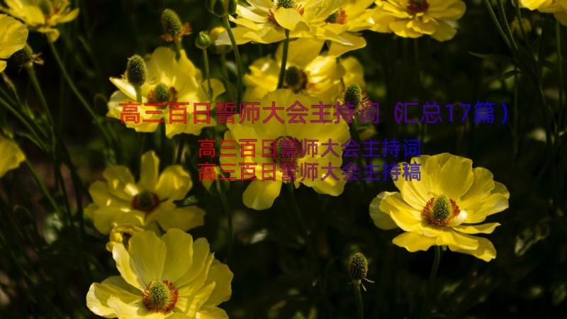 高三百日誓师大会主持词（汇总17篇）