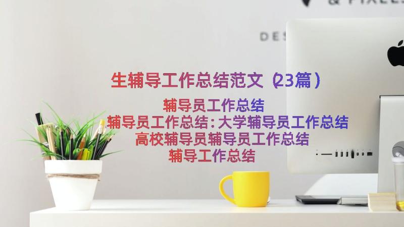 生辅导工作总结范文（23篇）