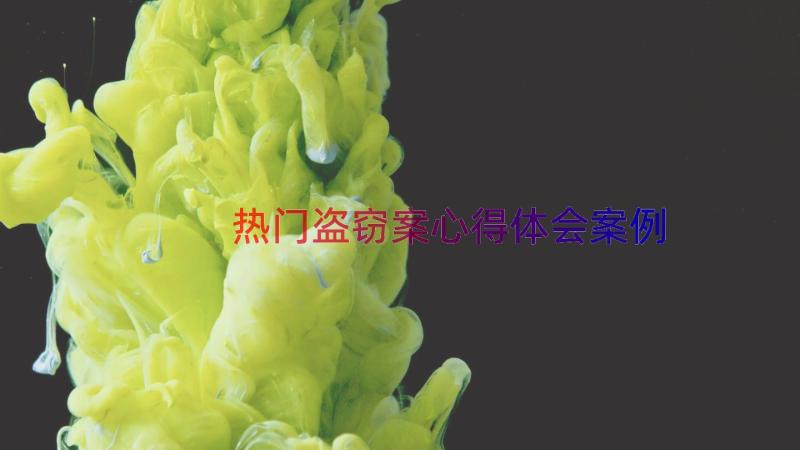 热门盗窃案心得体会（案例16篇）