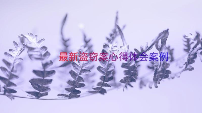 最新盗窃案心得体会（案例13篇）