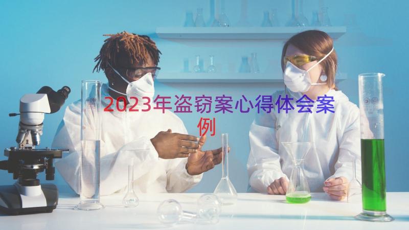 2023年盗窃案心得体会（案例17篇）