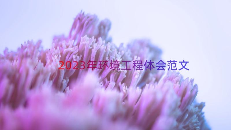 2023年环境工程体会范文（18篇）