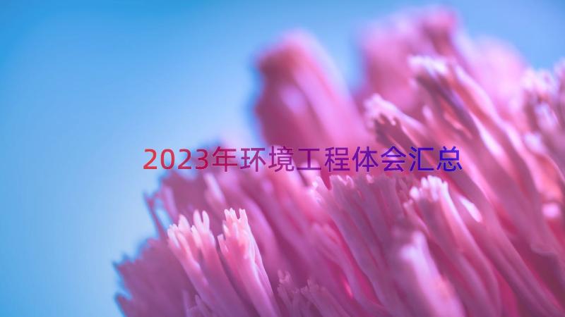 2023年环境工程体会（汇总15篇）